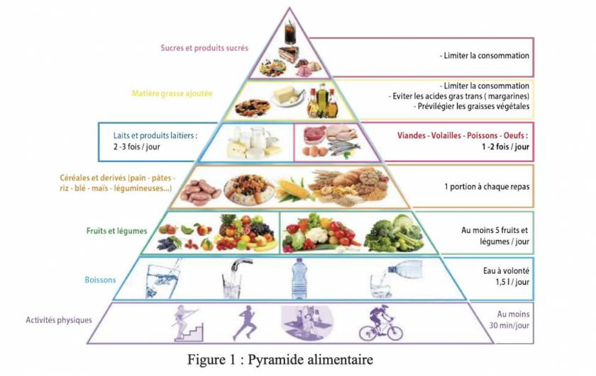 Pyramide alimentaire